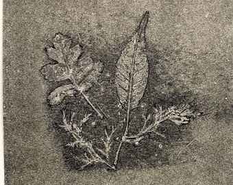 Botanical Leaves Monotype