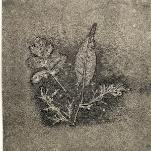 Botanische Blätter-Monotypie