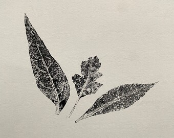 Botanical Leaves Monotype