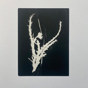 Botanical Flowers - Monotype print