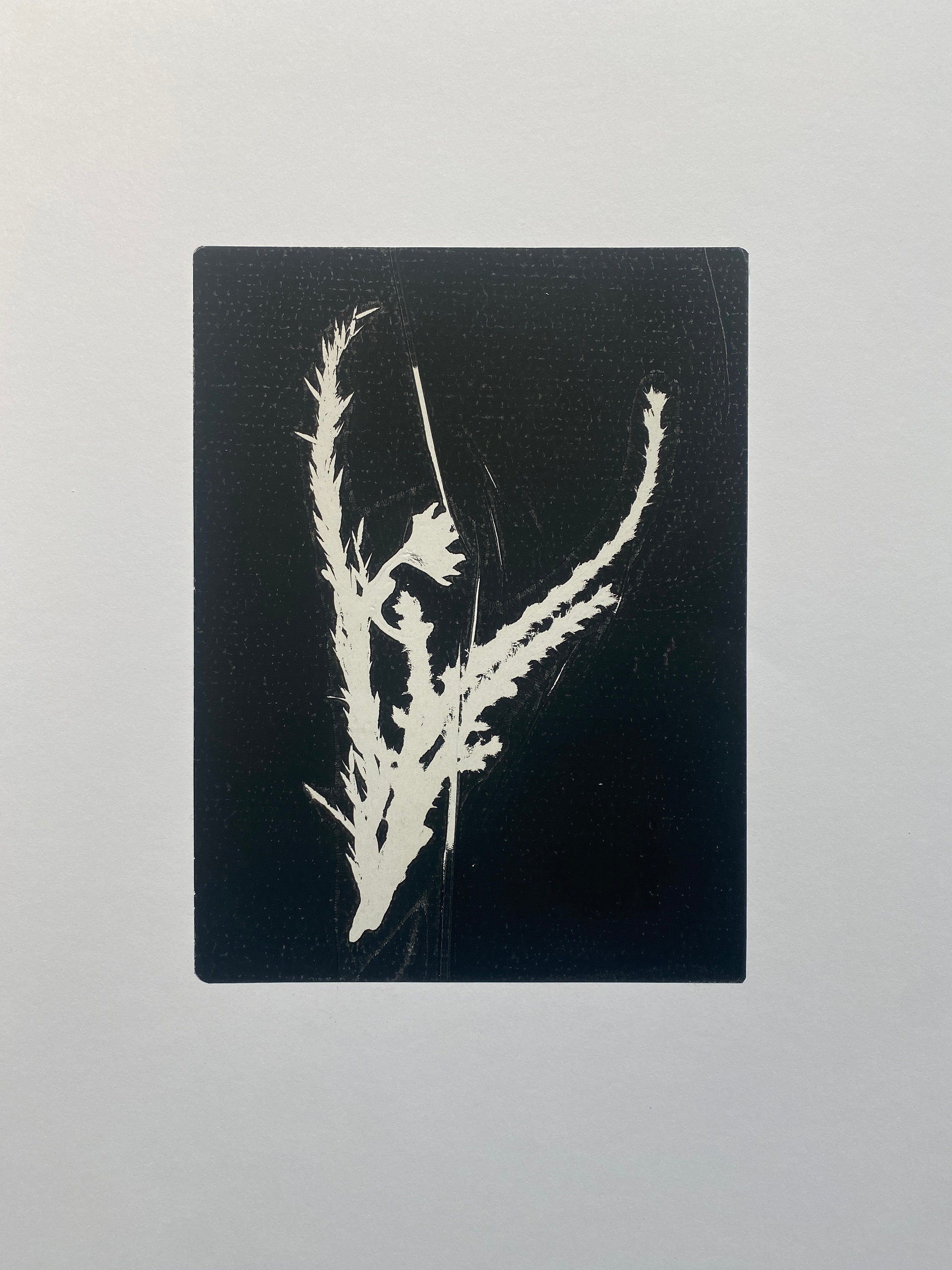 Botanical Flowers - Monotype print