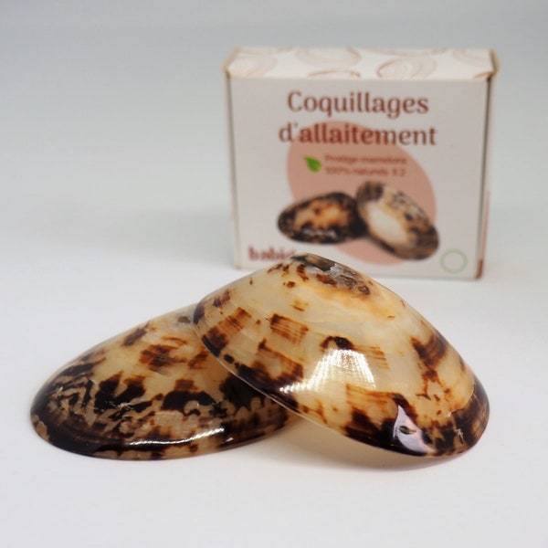 Coquillages d'allaitement - Lot de 2 - Tailles S à XXL