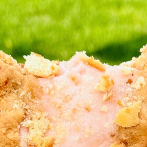 1/2 doz large STRAWBERRY  MILKSHAKE pudding COOKIES/ 4.5oz cookies