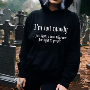 Gothic Hoodie Black Gothic Goth Witchy Clothes Aesthetic Emo Hoodie Funny Goth Sweat, Gothic Quote Gift Hooded Sweater Halloween Hoodie image 2