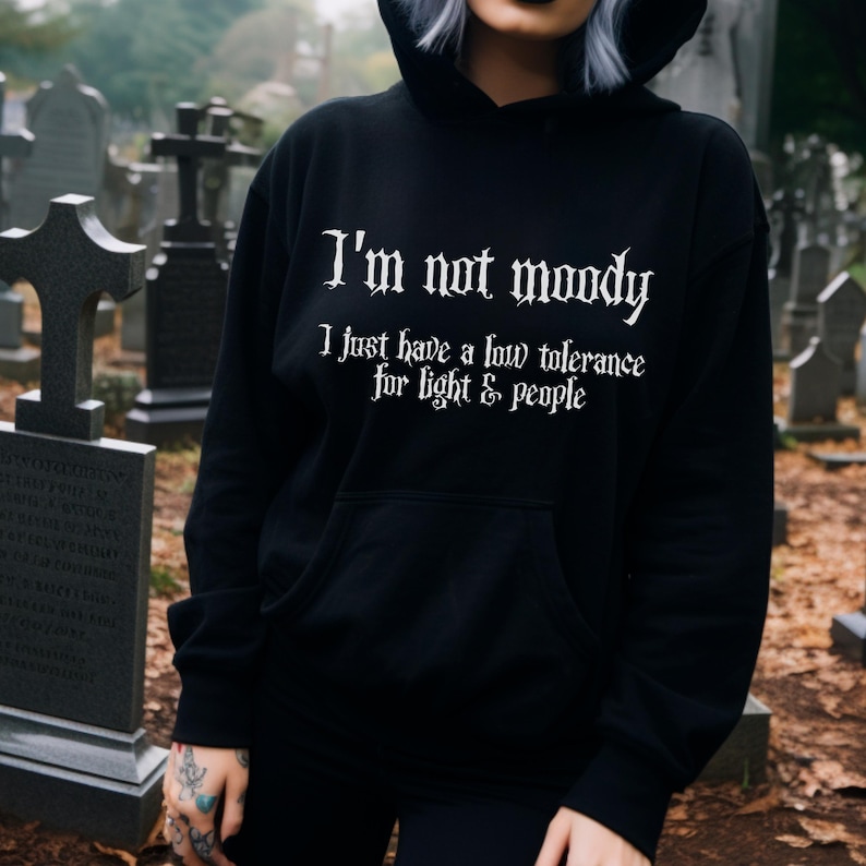 Gothic Hoodie Black Gothic Goth Witchy Clothes Aesthetic Emo Hoodie Funny Goth Sweat, Gothic Quote Gift Hooded Sweater Halloween Hoodie image 2