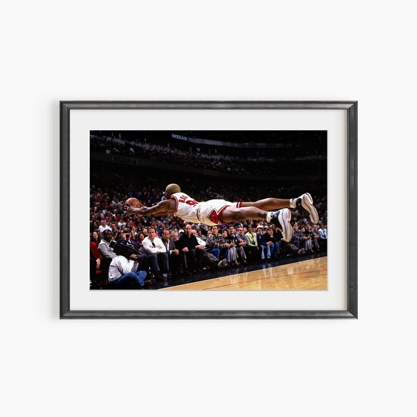 Dennis Rodman Print, Iconic Basketball Moment, Rodman Diving Poster, Dennis Rodman Laying Out, Photography Prints, Museum Quality Print