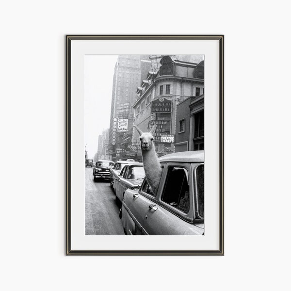 A Llama in Times Square, Inge Morath, New York 1950s, Vintage Analog Photography, Black and White Wall Art, Museum Quality Photo Art Print