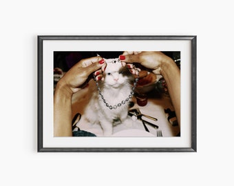 Bijoux chat, Impressions photo, Kate Spade, Poster chat, Collier en diamants, Art mural tendance, Collier chat, Poster photographie de qualité musée