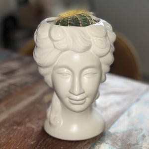 Baroque Planter Vintage Greco Roman Goddess Bust Plant White Pot – Dark Academia Decor