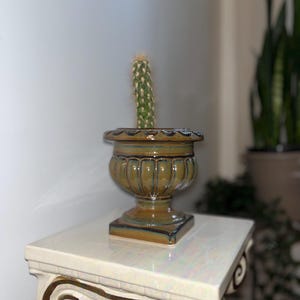 Pedestal Urn Planter – Baroque glossy Green plant Pot French Decor