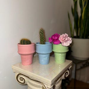 May include: Three pastel-coloured ice cream cone-shaped planters: pink, blue, and green. Each holds a different plant: a small cactus, a tall cactus, and pink and light pink flowers. The planters are on a decorative white pedestal.