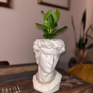 David Bust Planter Plant Pot Neoclassical Dark Academia Greco-Roman Decor