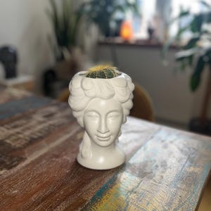 Può includere: Un vaso di ceramica bianca a forma di busto classico, contenente un piccolo cactus. Il vaso presenta dettagliati lineamenti del viso e capelli ricci. Il cactus è verde con spine gialle. Il vaso è su un tavolo di legno rustico.