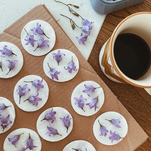 Petites fleurs violettes posées sur des disques de papier buvard, prêtes à être pressées pour « Printemps ! »