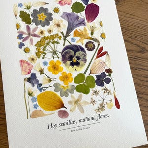 Bouquet de fleurs pressées jaunes et violettes sur papier blanc, dans un cadre en bois
