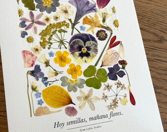 Seeds today, flowers tomorrow! · Framed pressed flower print 23 × 32 cm · Handmade botanical art