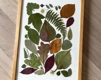 Mil hojas · Framed pressed leaf print 31.2 × 22.5 cm · Handmade botanical art