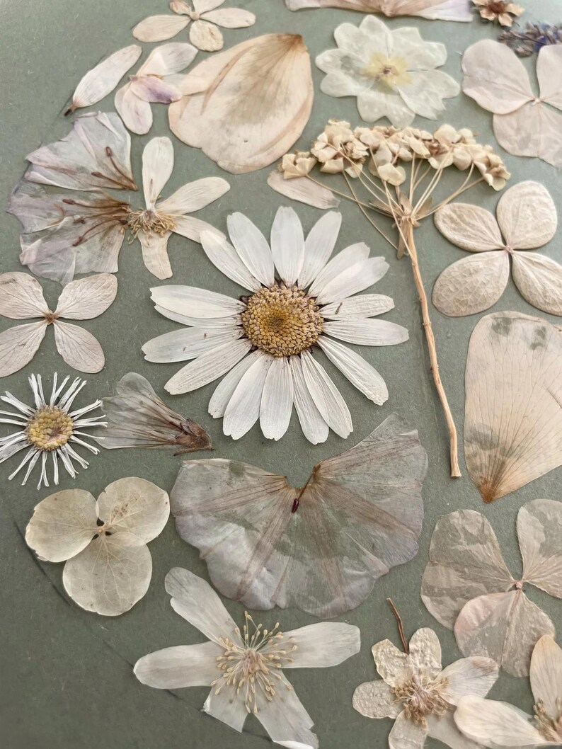 Détail des fleurs pressées de « Jardin en silence »
