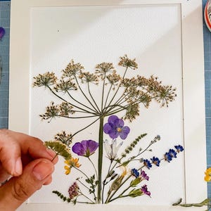 La main de Lydia place les fleurs pressées sur le papier de « Printemps ! »