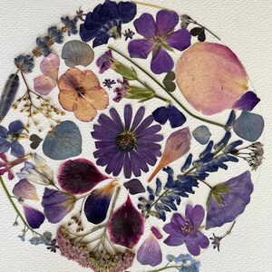 Détail des fleurs pressées de « Poésie botanique ! »