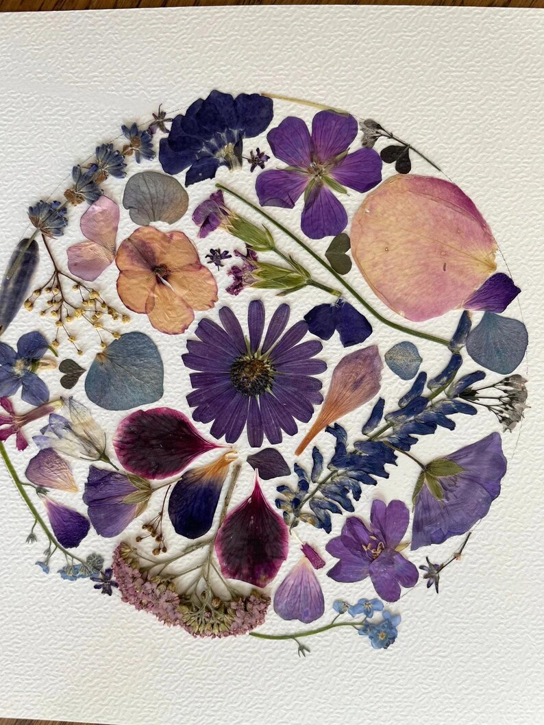 Détail des fleurs pressées de « Poésie botanique ! »