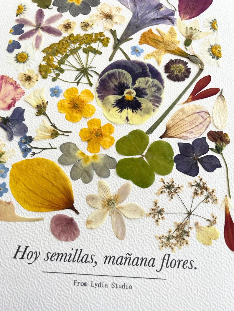Détail des fleurs pressées de « Hoy semillas, mañana flores ! »
