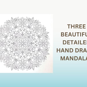 May include: A black and white detailed mandala with floral patterns. Three beautiful detailed hand drawn mandalas.