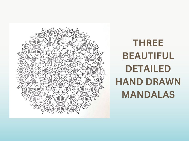 May include: A black and white detailed mandala with floral patterns. Three beautiful detailed hand drawn mandalas.