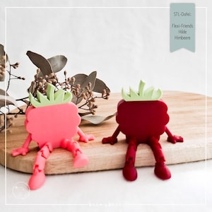 STL-Datei FLEXI-FRIENDS Hilde Himbeere