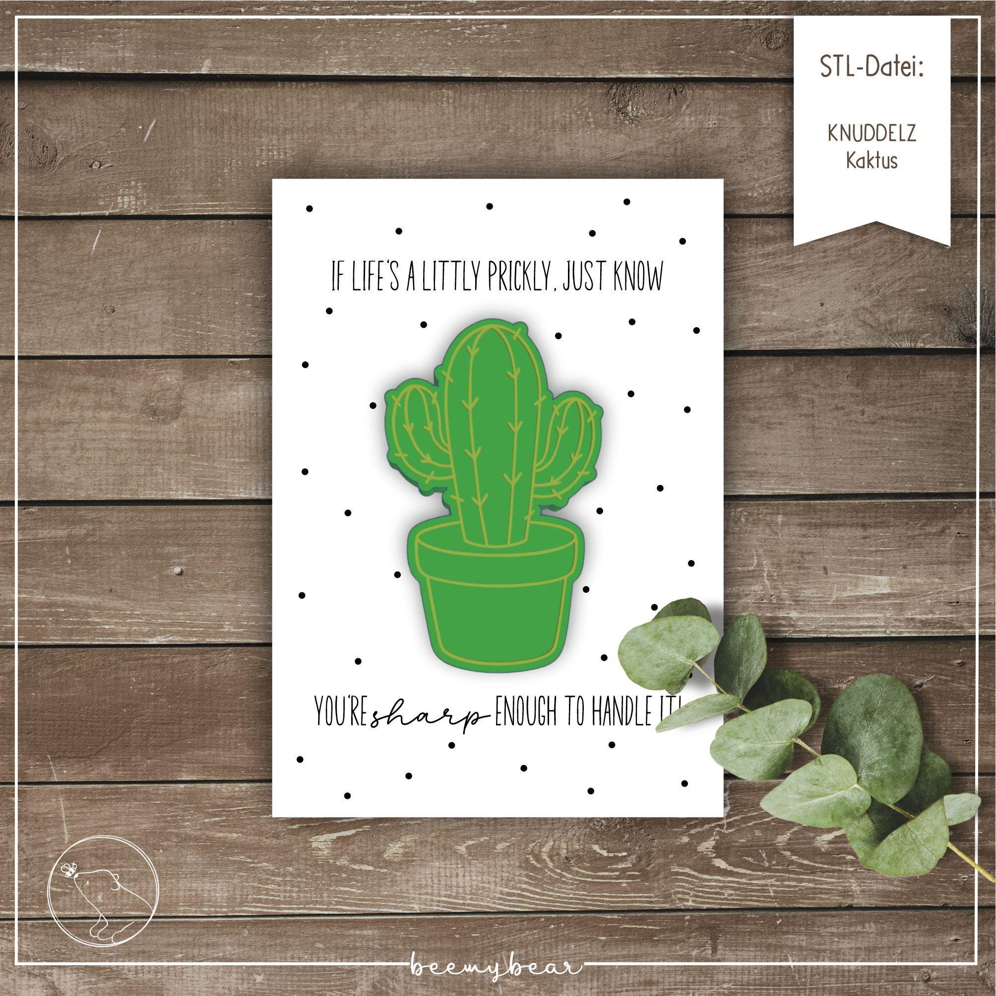 Kaktus geschenkidee - Etsy.de