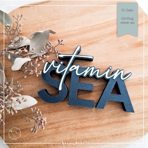 Könnte beinhalten: Ein marineblaues Holzschild mit dem Wort "vitamin SEA" in einer stilisierten Schriftart. Das Wort "vitamin" ist in weißer Schreibschrift, und "SEA" ist in Großbuchstaben. Das Schild befindet sich auf einer Holzoberfläche mit getrocknetem Laub.