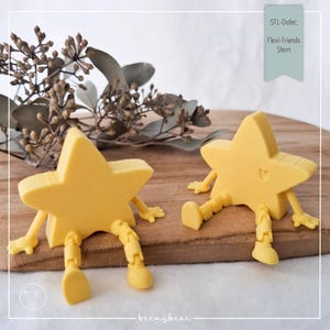 Fichier STL FLEXI-FRIENDS étoile