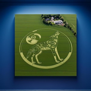 Haida First Nations Wolf Moon Crop Circle Wall Art Coast Salish Pacific Northwest Tribal Aerial View Fun Alien Gift PNW Lodge Cabin Decor