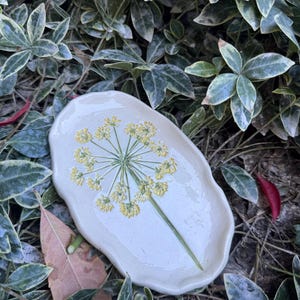 May include: A handmade, off-white ceramic dish with a floral design. The dish features a yellow and green botanical illustration of a flower. The oval-shaped dish is surrounded by green and white foliage.