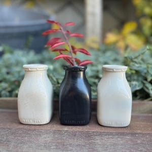 May include: Three ceramic milk bottle vases, one cream, one black, and one white, arranged on a wooden surface. The black vase holds a sprig of red leaves. Each bottle is labeled "HALF PINT".