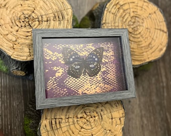 May include: A framed butterfly art piece with a gray frame. The butterfly has black and blue markings, set against a purple and gold background. The artwork rests on three decorative wooden log slices.