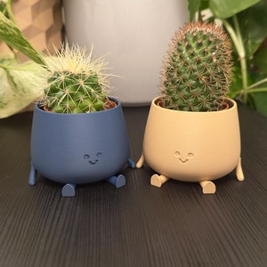 Cute Happy Little Planter, Happy Face Succulent Planter, Fun Office Desk Plant Pot Decor, Plant Gift, Unique Home Decor, Secret Santa Gift