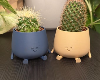 Happy Little Planter Plant Pot Pals, Happy Face Succulent Planter, Fun Office Desk Plant Pot Decor, Plant Gift, Unique Home Decor