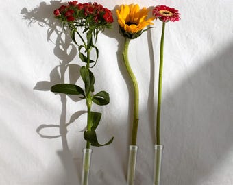 3&quot; Floral Water Tubes with Lids – Hydrate Single Stems (10-Pack)