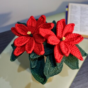 May include: A crocheted poinsettia plant with red flowers and green leaves.