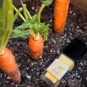 Aloe vera serum with carrot seed oil, anti-aging vegan skincare.