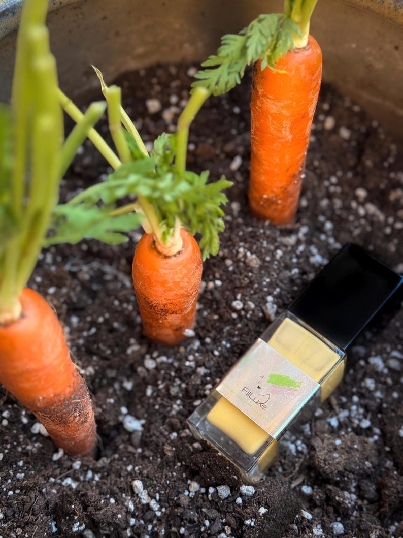 Aloe vera serum with carrot seed oil, anti-aging vegan skincare.