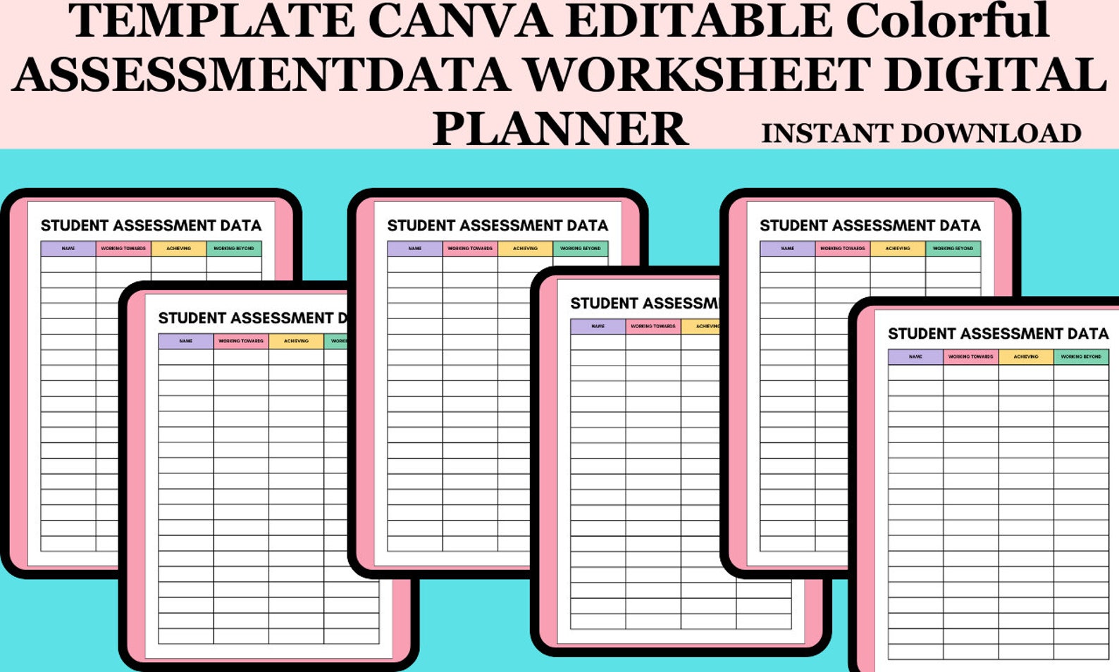 Colorful Assessment Data Worksheet Planner, Assessment Organization ...