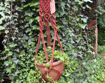 Macramé vase holder with wooden circle, available in different sizes