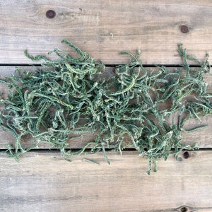 Dried Yarrow Leaves, REAL Preserved Leaf Herb, Soap Supplies, Dried Herbs, Bath Bombs, Naturally Air Dried, Achillea Millefolium