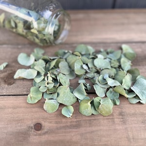 Dried Eucalyptus Leaves, Natural Confetti, Wedding Table Decor, Flower Girl Toss Petals, Naturally Air Dried Baby Blue Eucalyptus Leaves