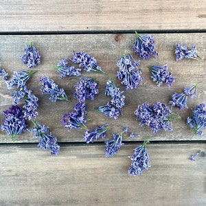 Dried Lilacs, REAL Preserved Lilac Flowers, Natural Loose Lilac Petals, Soap Supplies, Naturally Air Dried, Dried Flowers, Bath Bombs