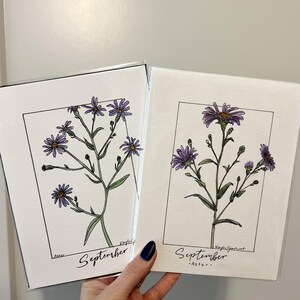 Birth Flower watercolor painting, September- December
