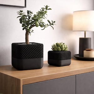May include: Two black square planters with a lattice design, one large and one small, sit on a wooden surface. The larger planter holds a small tree with green leaves, and the smaller one contains a succulent. A lamp and artwork are in the background.
