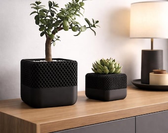 Peut inclure: Deux jardinières carrées noires avec un motif en treillis, une grande et une petite, sont posées sur une surface en bois. La plus grande contient un petit arbre aux feuilles vertes, et la plus petite une plante succulente. Une lampe et une œuvre d'art sont en arrière-plan.